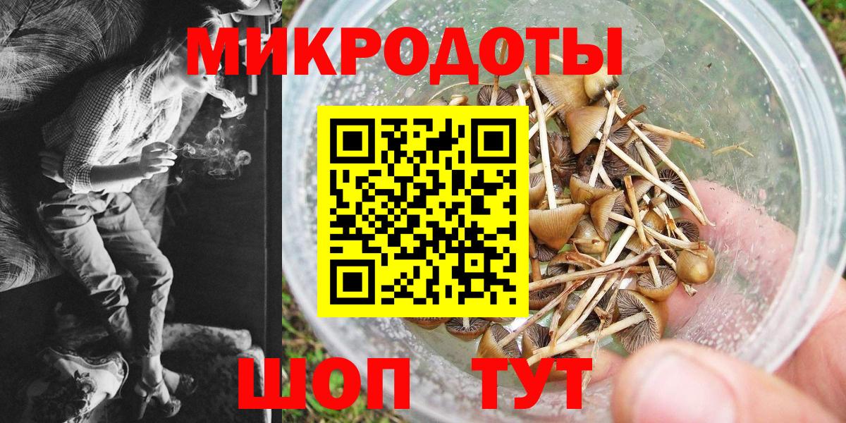 Галлюциногенные грибы GOLDEN TEACHER  купить закладку  Нижний Новгород  Вход с VPN 